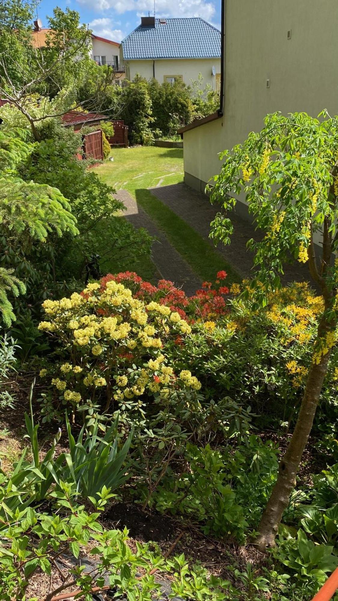 Villa Mielno-Eko Mielno  Exteriör bild